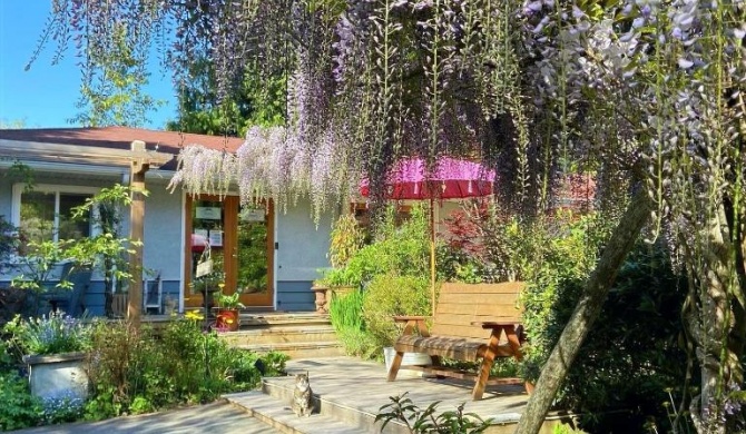 Wisteria Guest House