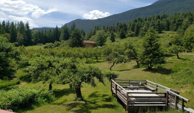 Cherry Cove Cabins