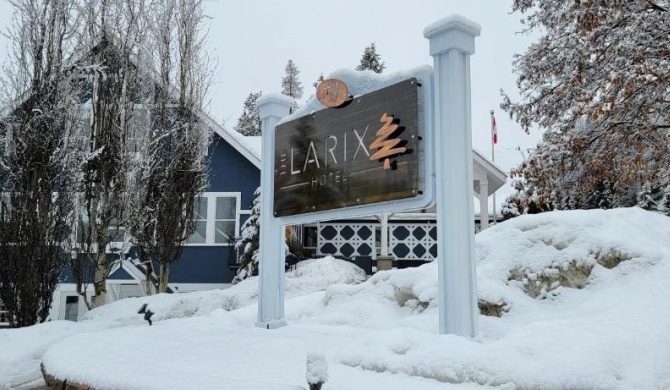 The Larix Hotel