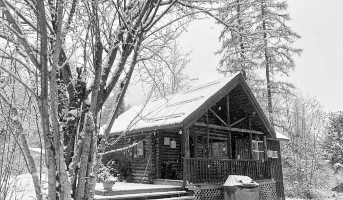 Morning Star Log Cabin