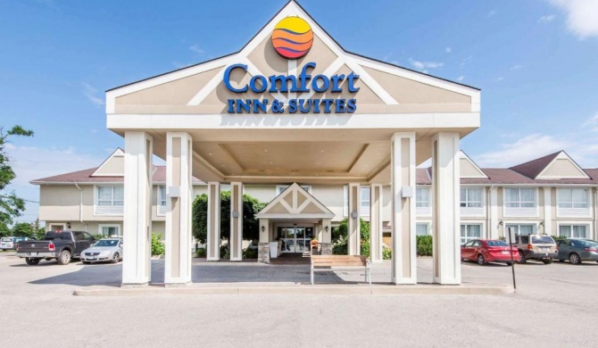 Comfort Inn & Suites Collingwood