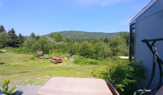 Oasis du grand fond