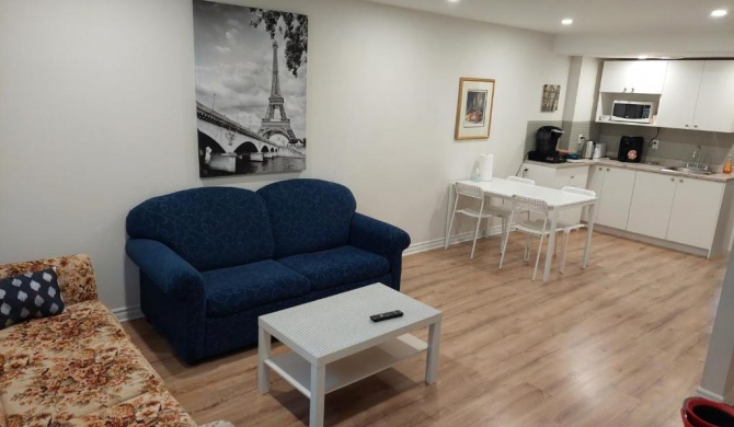 Spacious basement one bedroom apartment, WiFi.