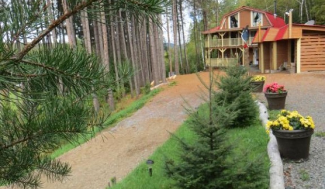 La maison sous les arbres