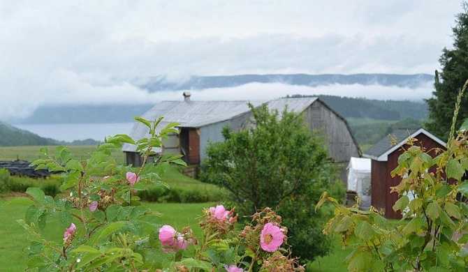 The Rustic House of the Fjord