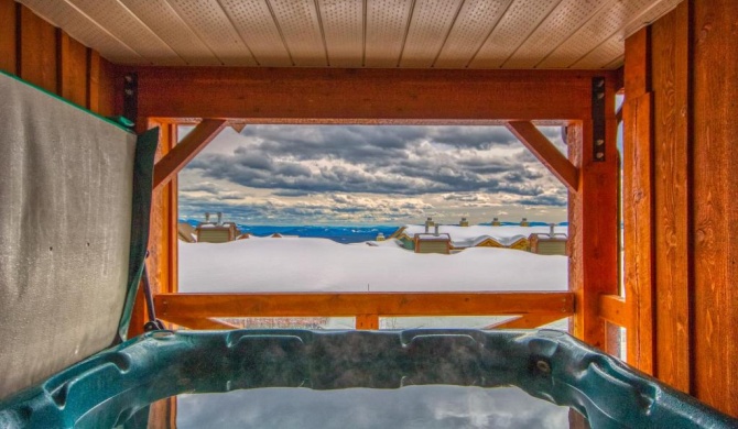 3 BR 3 Bath ski in ski out with private hot tub