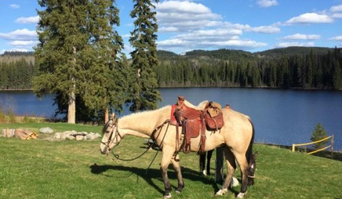 Montana Hill Guest Ranch